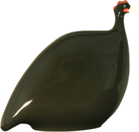 Guinea Hen- Black