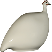 Guinea Hen- White