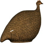 Guinea Hen- Black Speckled Yellow