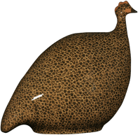 Guinea Hen- Black Speckled Yellow