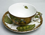 Anna Weatherley Exotic Butterflies Tea Cup & Saucer