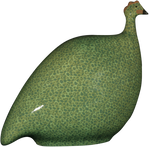 Guinea Hen- Green Speckled Yellow
