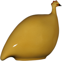 Guinea Hen- Yellow