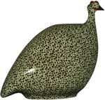 Caille Guinea Hen