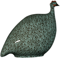 Guinea Hen- Turquoise Speckled Black